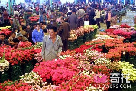 花卉市场：昆明斗南花卉市场2017年10月9日配花报价