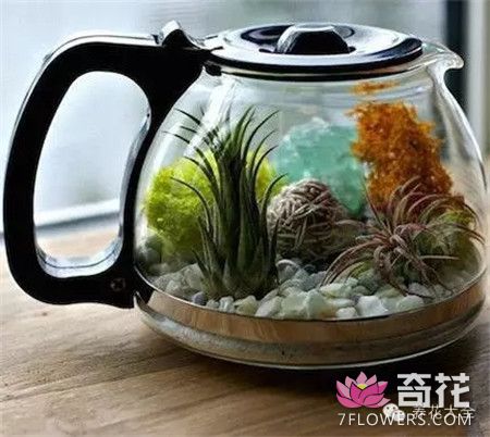 茶壶花器