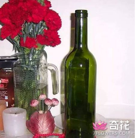 红酒瓶、啤酒瓶做绿萝吊盆