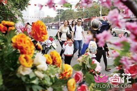 东莞拟投入1000万 扶持花卉产业