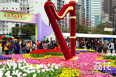 香港花卉展10日开展 内地8省11城参展