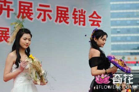 杭州花卉展销会人气爆棚