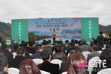 丹棱：2017年四川花卉（果类）生态旅游节启幕