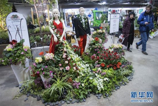 （国际）（3）加拿大花卉与园艺博览会在多伦多举行