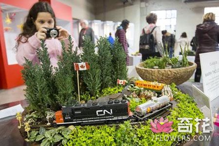 加拿大花卉与园艺博览会在多伦多举行（组图）