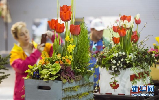 （国际）（2）加拿大花卉与园艺博览会在多伦多举行