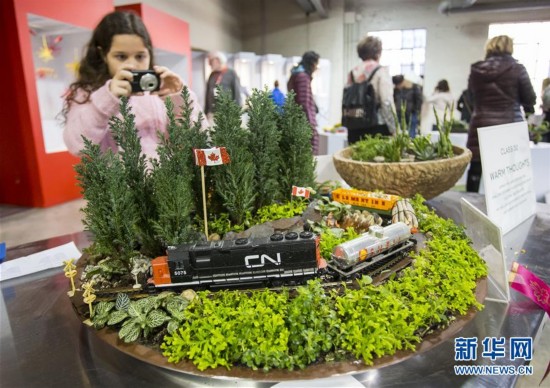 （国际）（5）加拿大花卉与园艺博览会在多伦多举行