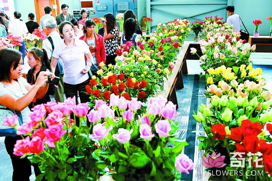 昆明将举办第十八届中国昆明国际花卉展