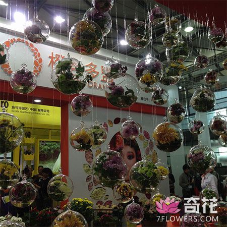 第19届中国国际花卉园艺展览会今日在上海开幕