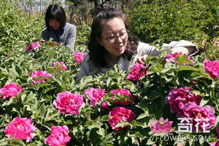 “走近北京世园花卉——2017”系列展示活动在北京八达岭世界葡萄博览园举办