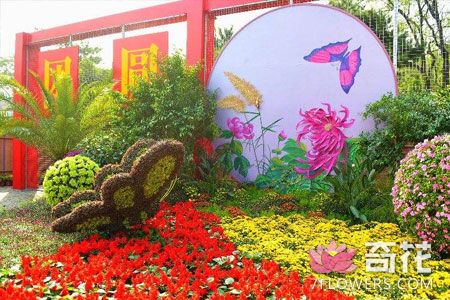 喜迎十九大北京百余处花卉景观公园亮相