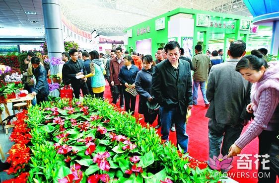 2017中国·合肥苗木花卉交易大会将于10月20日开幕 首邀境外名企参加