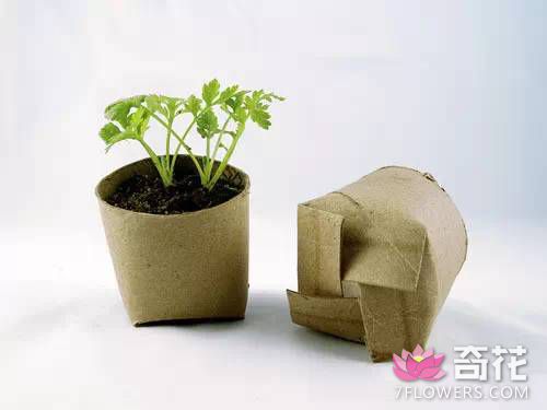 1、利用卫生纸芯进行折叠，就可以制作出可降解的简易花盆，节约又环保。