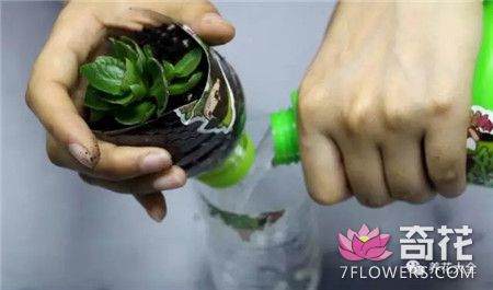 塑料瓶制作自动吸水花盆的方法