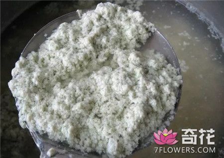 豆浆渣做花肥的方法 学会你的花一定长得根壮叶绿