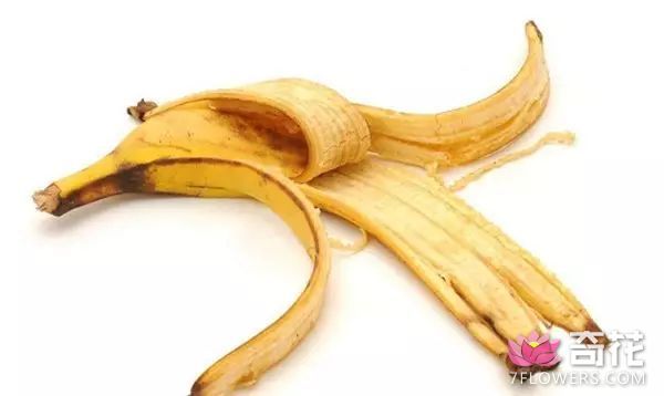 用香蕉皮养花提高土壤的肥力